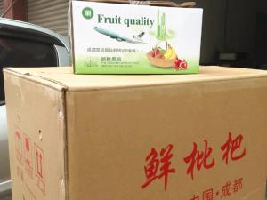  新鲜枇杷航空快递