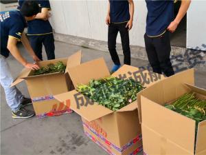  成都至北京鲜花航空托运